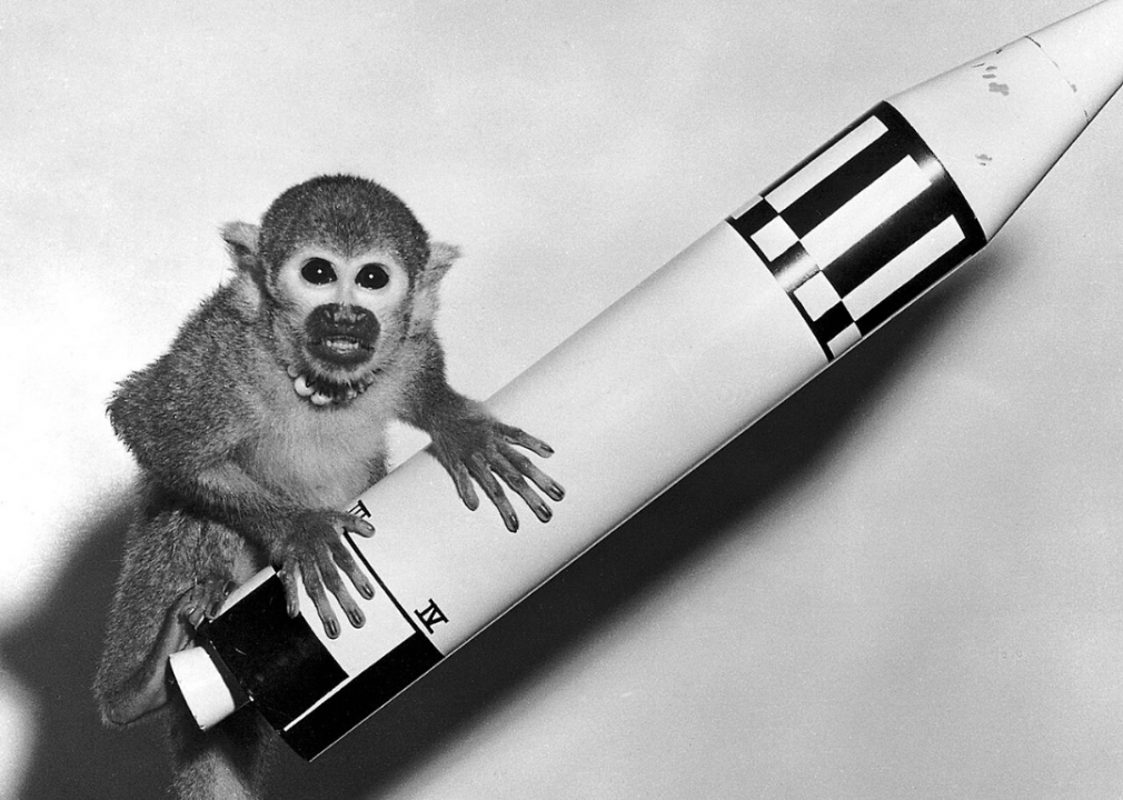 1948: First monkey sent to space